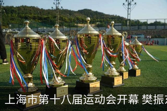 上海市第十八届运动会开幕 樊振东、吴敏霞等体坛名将助阵